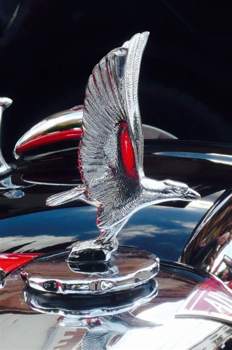 bird emblem on car